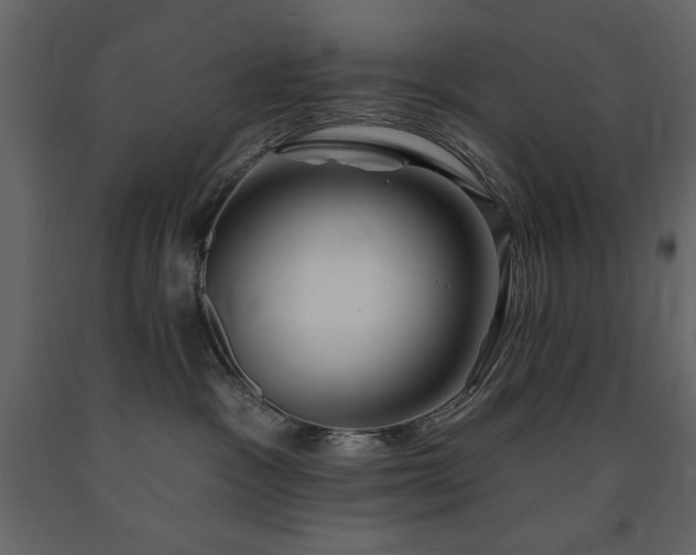 X0000091670333200708231335