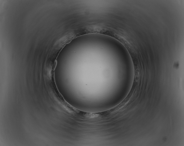 X0000091670334200708231335