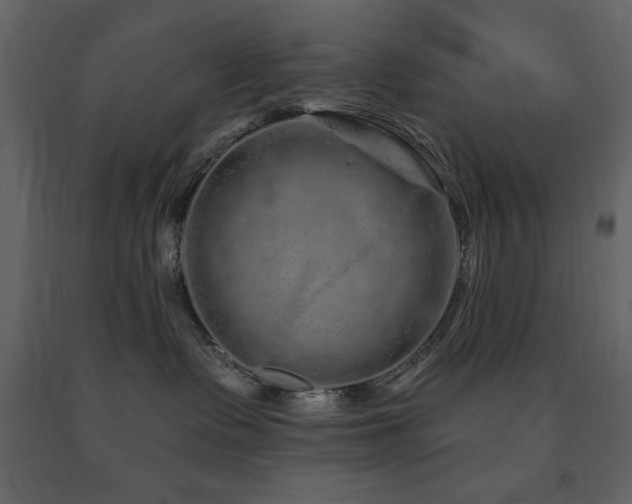 X0000091670335200708231335