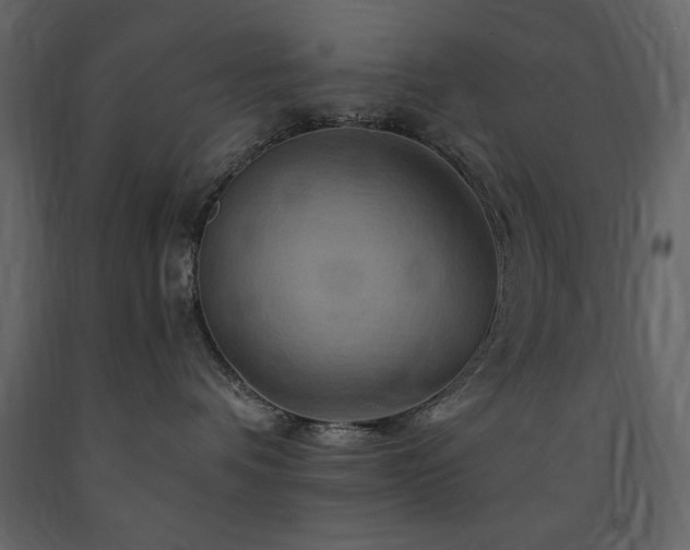 X0000091670336200708231335