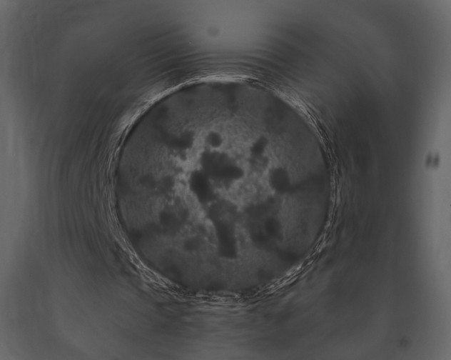 X0000091670337200708231335