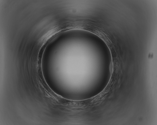 X0000091670338200708231335