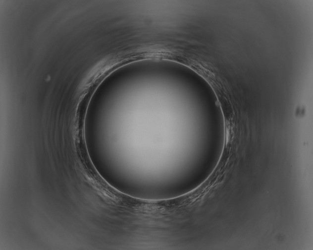 X0000091670339200708231335