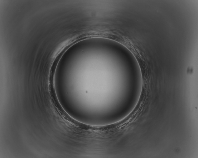 X0000091670340200708231335