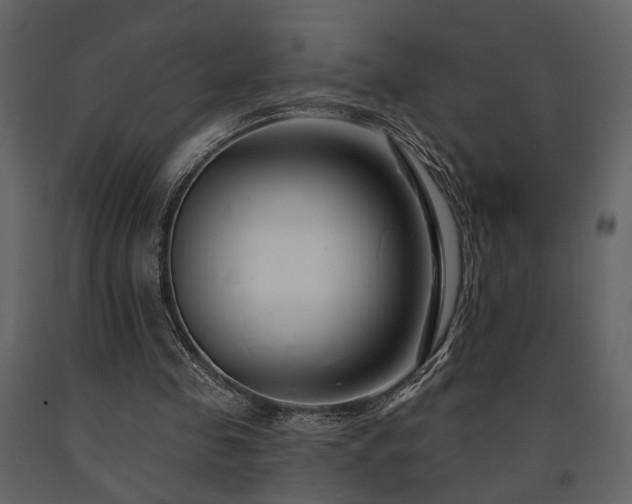 X0000091670341200708231335