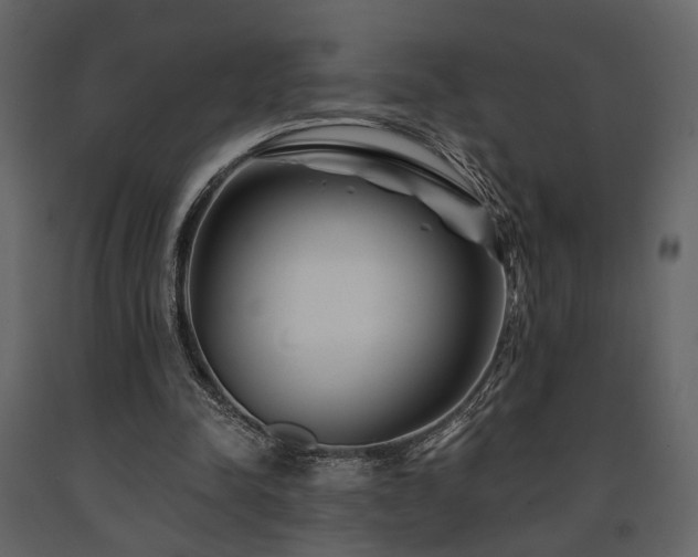 X0000091670342200708231335