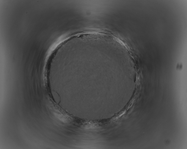 X0000091670343200708231335