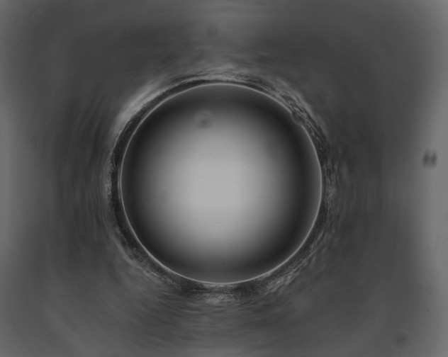 X0000091670344200708231335