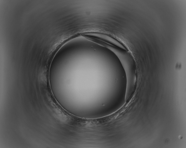 X0000091670345200708231335