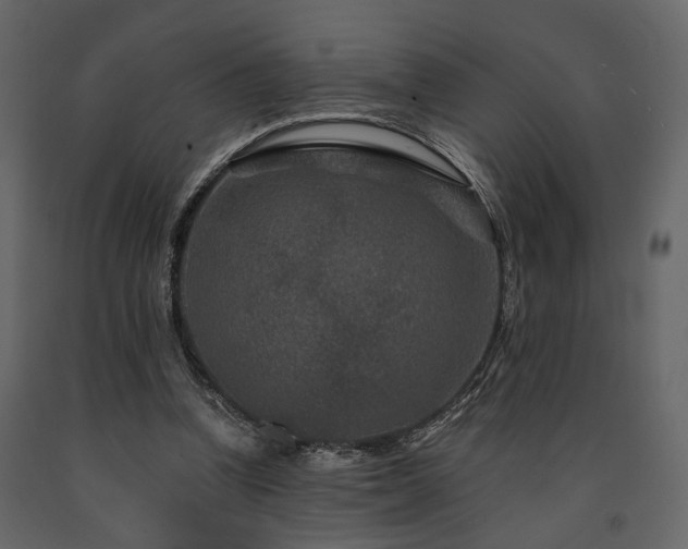 X0000091670346200708231335
