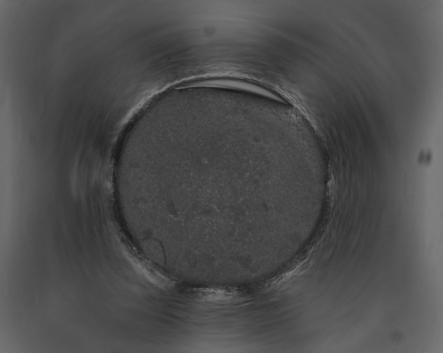 X0000091670347200708231335