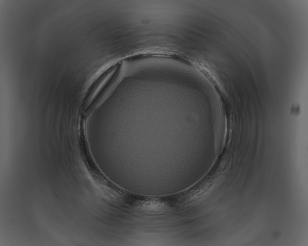 X0000091670348200708231335