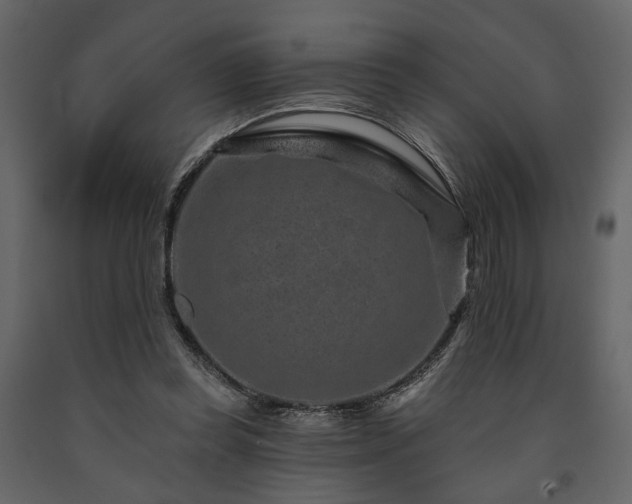 X0000091670349200708231335