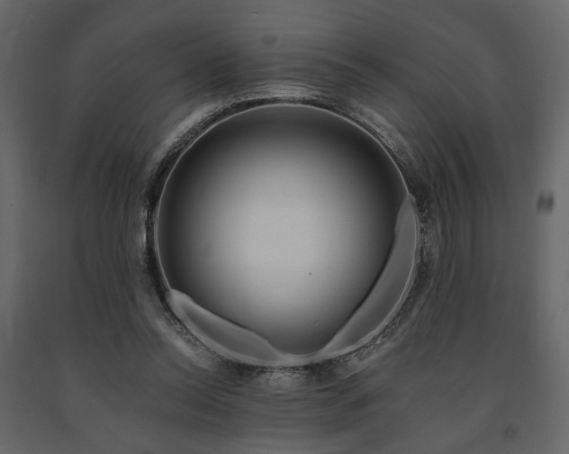 X0000091670350200708231335