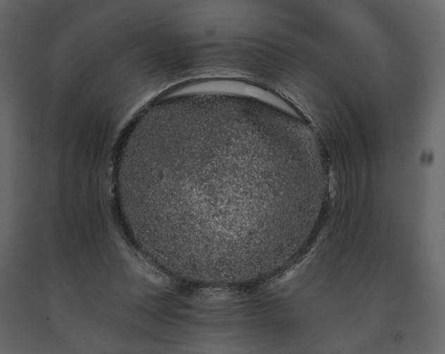 X0000091670351200708231335