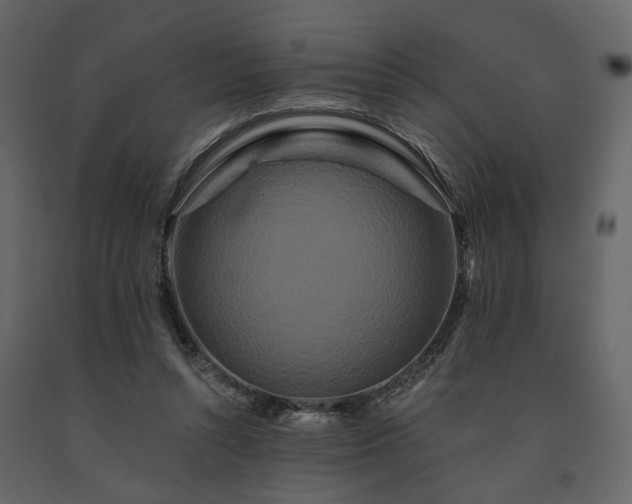 X0000091670352200708231335