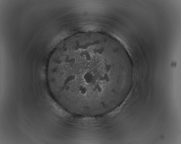 X0000091670353200708231335