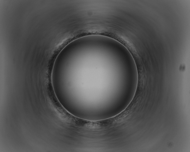 X0000091670354200708231335