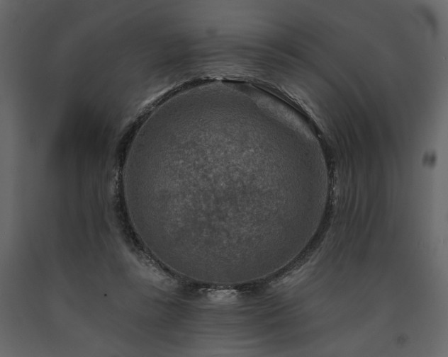 X0000091670355200708231335