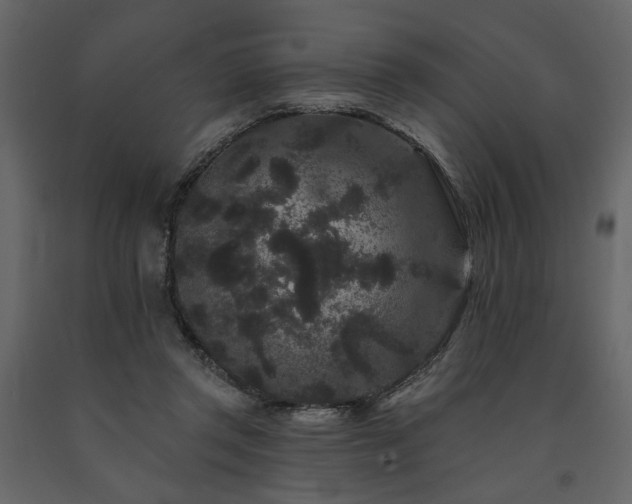 X0000091670357200708231335