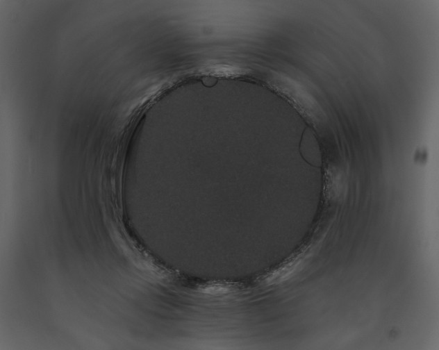 X0000091670358200708231335