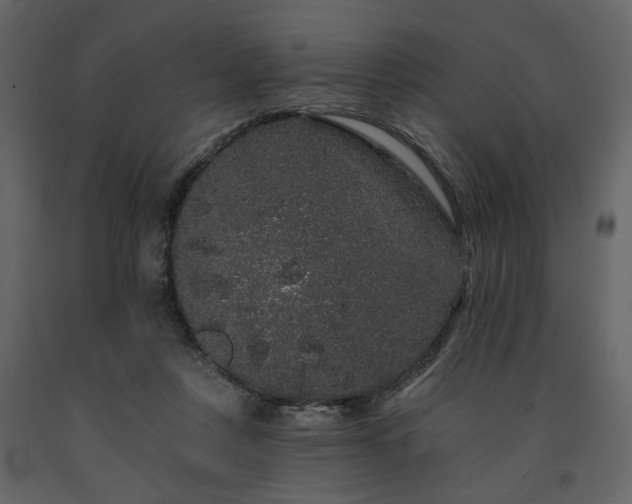 X0000091670359200708231335