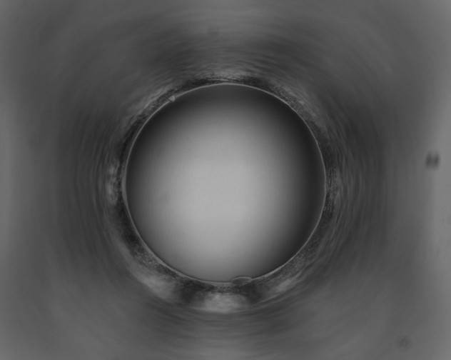 X0000091670360200708231335