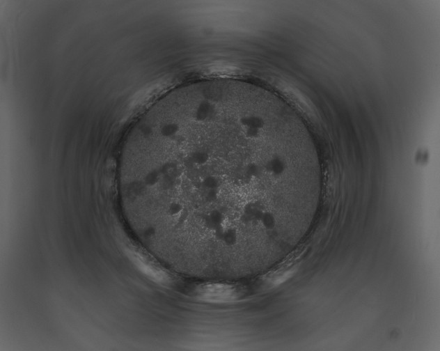X0000091670361200708231335