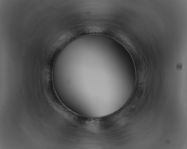 X0000091670362200708231335