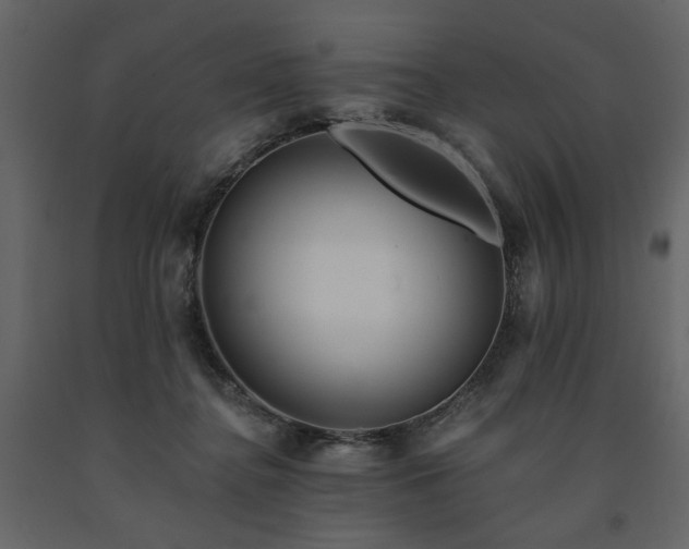 X0000091670364200708231335