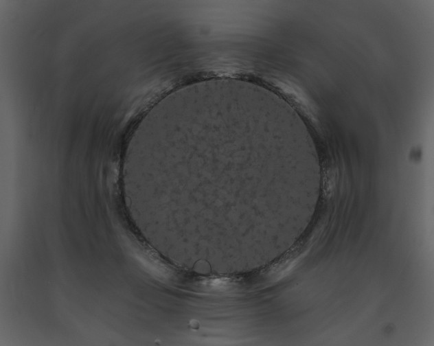 X0000091670365200708231335