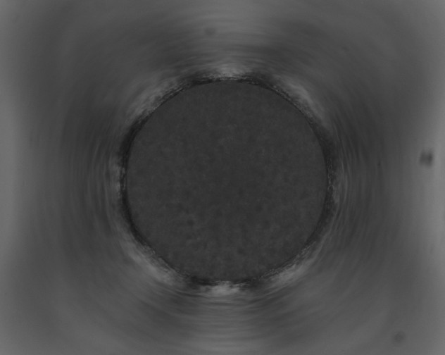 X0000091670366200708231335