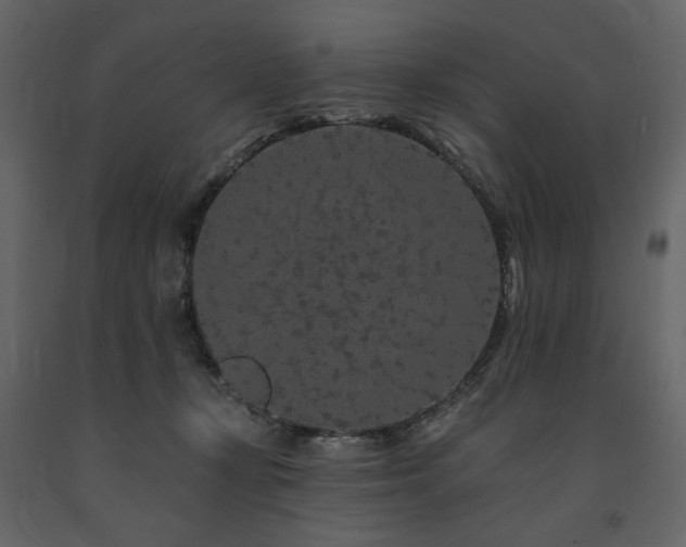 X0000091670367200708231335