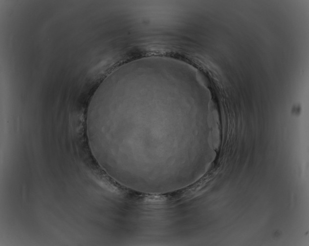 X0000091670369200708231335