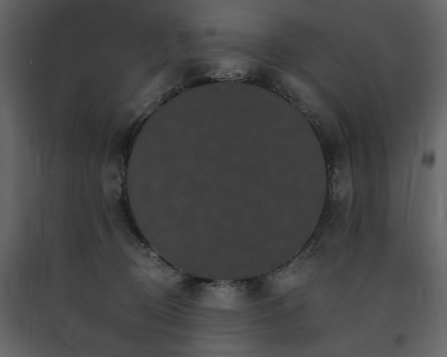 X0000091670370200708231335