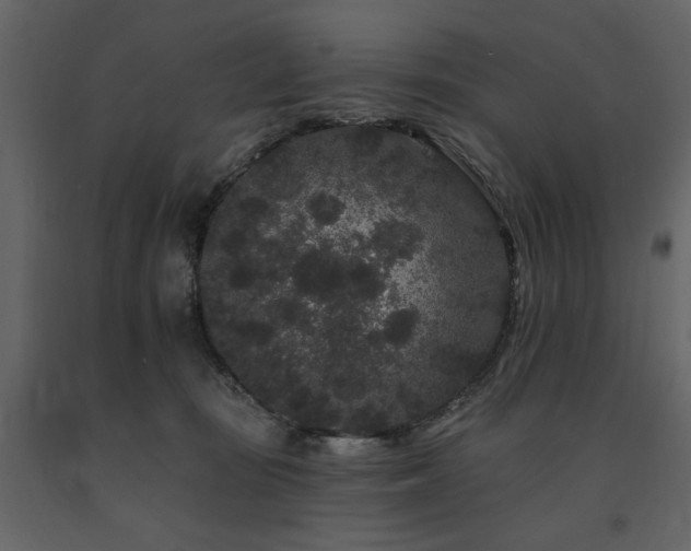 X0000091670371200708231335