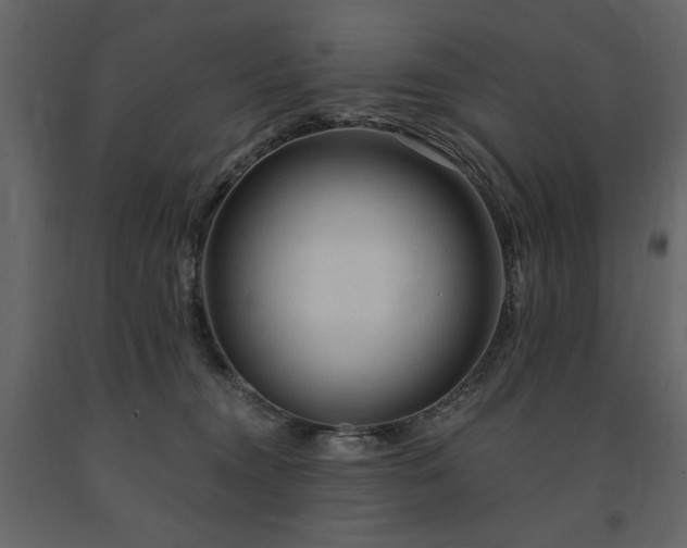 X0000091670372200708231335