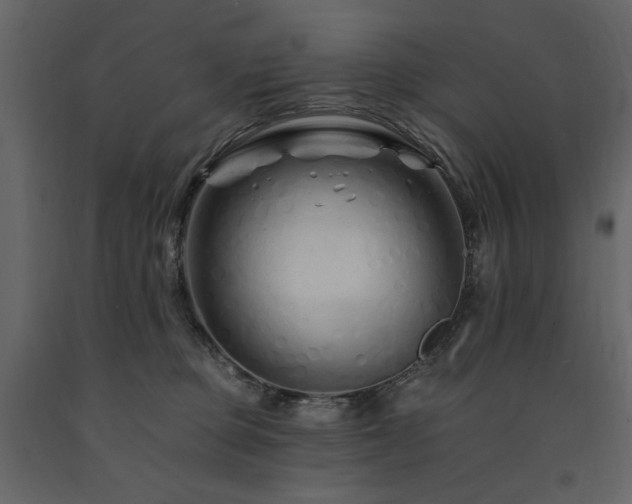 X0000091670373200708231335