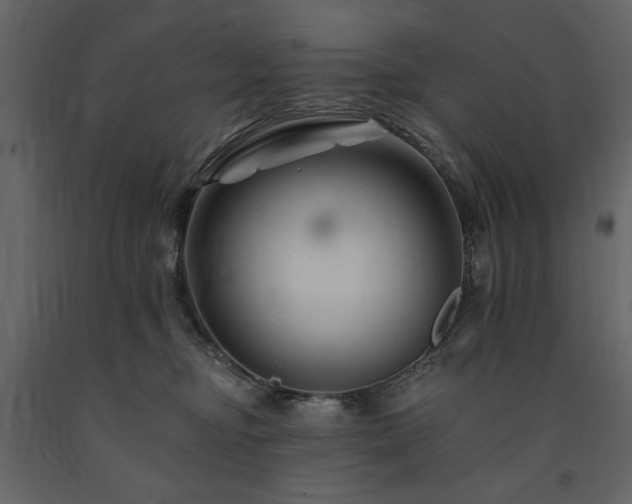 X0000091670374200708231335