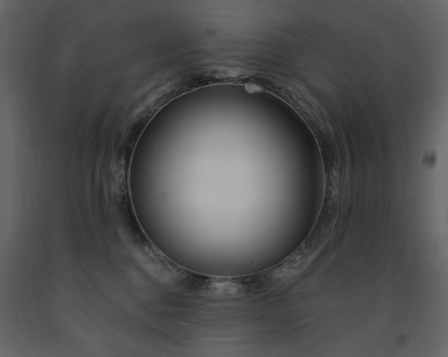 X0000091670376200708231335