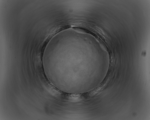 X0000091670377200708231335
