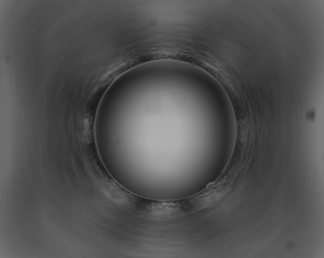 X0000091670378200708231335
