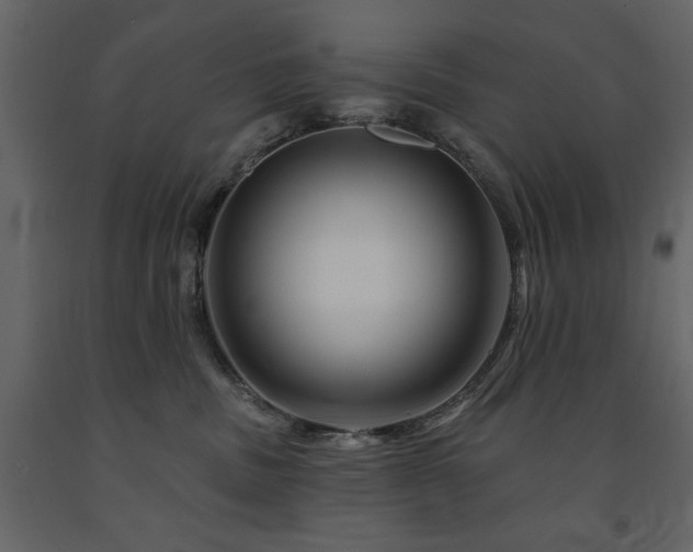 X0000091670379200708231335