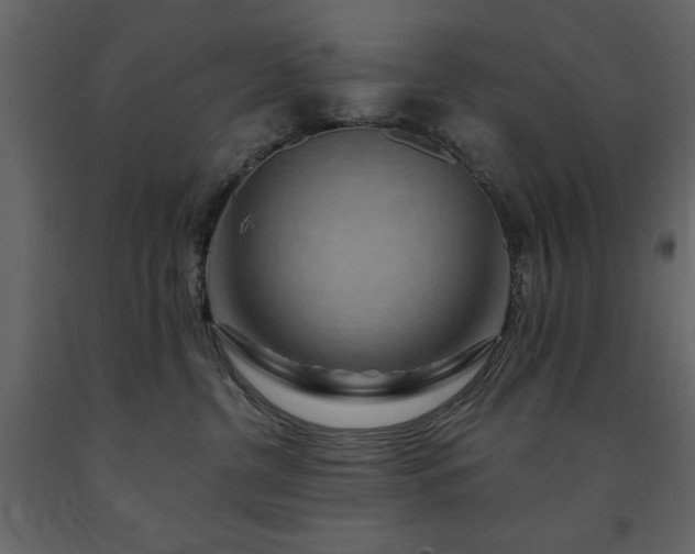 X0000091670380200708231335