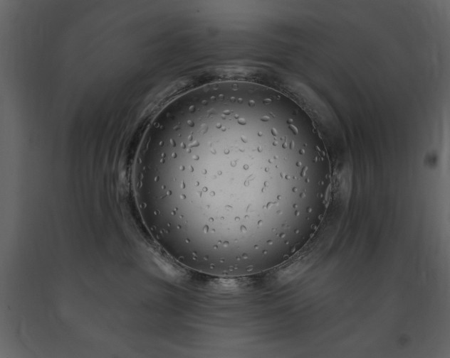 X0000091670381200708231335