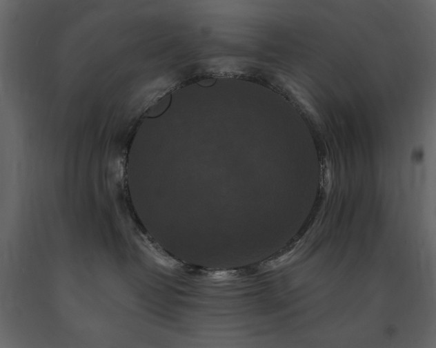 X0000091670382200708231335