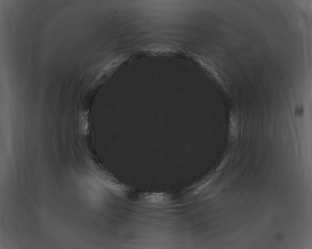 X0000091670383200708231335