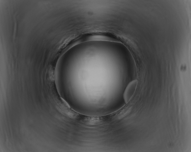 X0000091670384200708231335