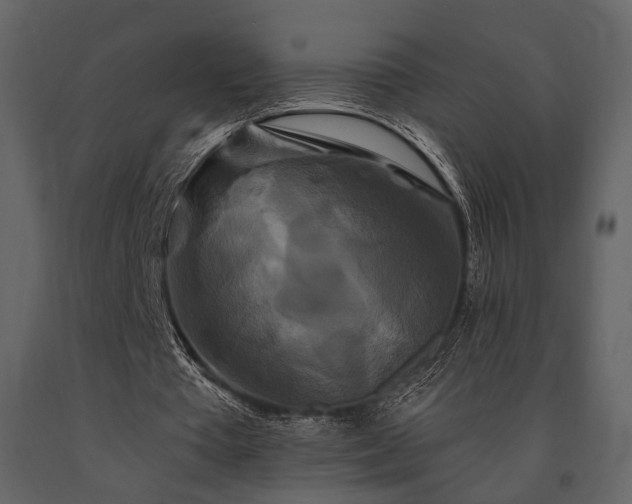 X0000091670385200708231335