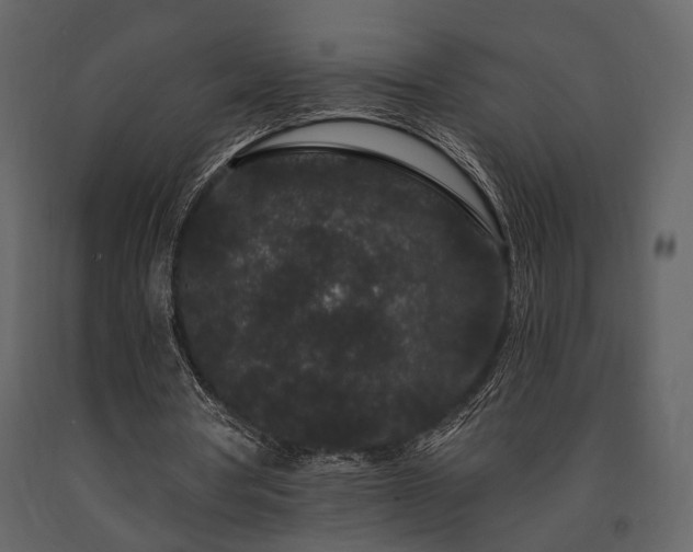 X0000091670386200708231335
